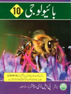 Punjab text Book Class-10 free download